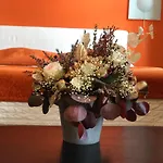 Albarino فيغاديو